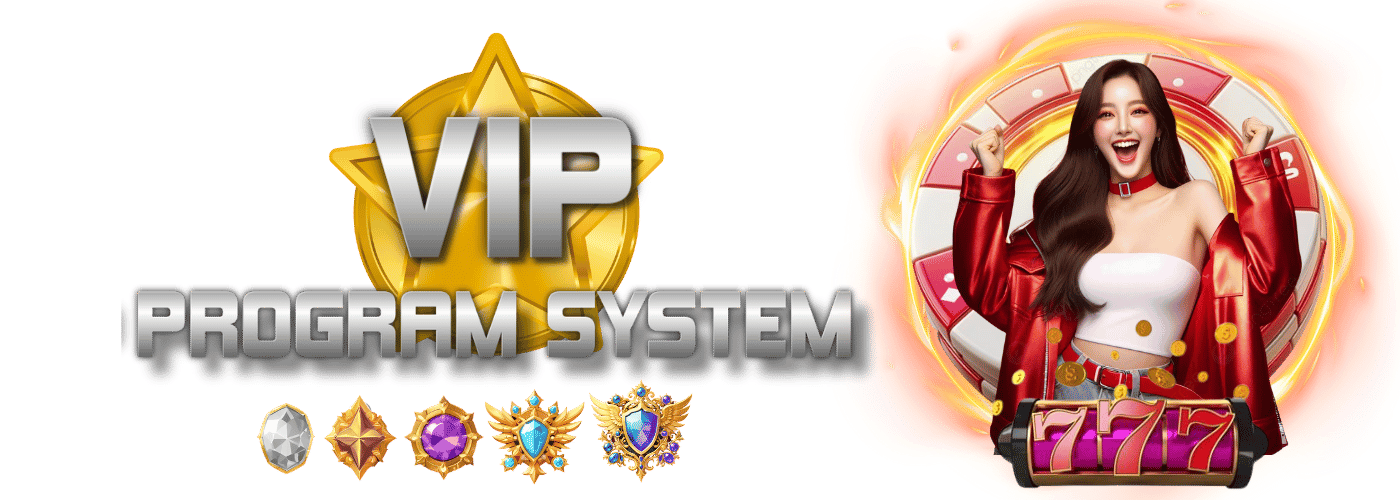 VIP Program Model Image